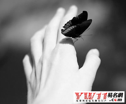 安妮寶貝經(jīng)典語(yǔ)錄愛情