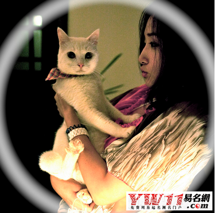 安妮寶貝經(jīng)典語(yǔ)錄經(jīng)典