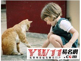 夢(mèng)見貓