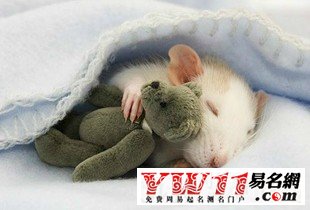 最搞笑的網(wǎng)絡(luò)游戲名字，笑死人的游戲玩家角色名字大全 www.keaidian.com