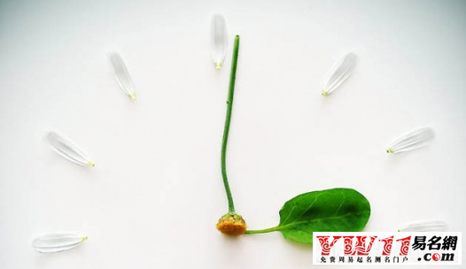 森系情侶網(wǎng)名大全，小清新的情侶名字
