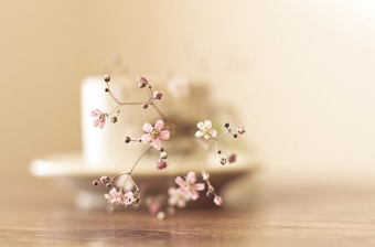 林語(yǔ)堂經(jīng)典語(yǔ)錄大全
