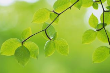 經(jīng)典勵志語錄大全