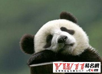 動物名稱,好聽的動物名稱