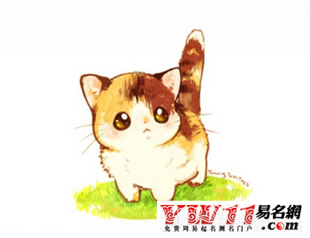 可愛的網(wǎng)絡(luò)游戲名字