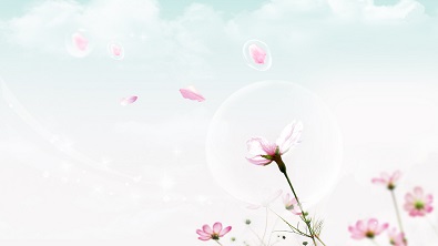 低調的網(wǎng)名大全