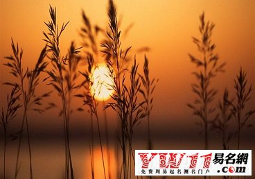 最好聽(tīng)的qq名字大全