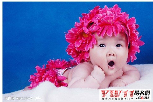2012年，給龍寶寶起名就這么簡單