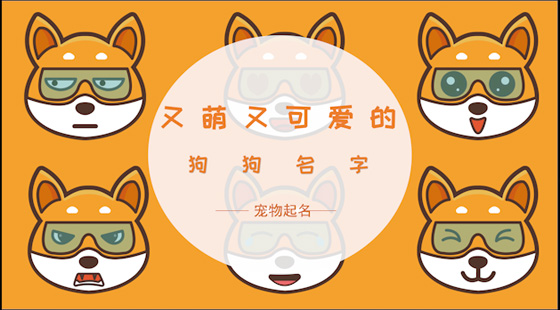 又萌又可愛的狗狗名字