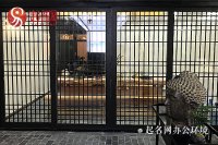 英文名字怎么取女生好聽(tīng)
