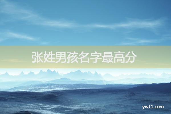 姓張男孩名字，張姓男孩名字最高分